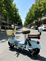 Vélo Électrique de Ville pour Adultes, Vente en Gros Usine, 350W 48V, Batterie au Plomb, Cadre en Acier à Haute Teneur en Carbone, Autonomie 55-65km, Deux Roues