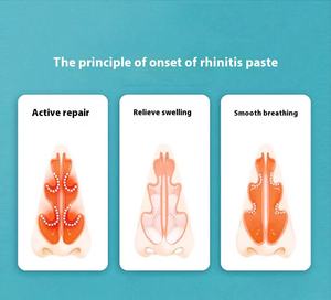 Strisce nasali a base di erbe per bambini in gesso cinese per rinite allergica pediatrica - Product Image 5