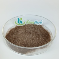 Poudre d'extrait de champignon Ganoderma Reishi, mélange de café instantané Lion's Mane, fournisseur en gros OEM ODM pour les boissons, étiquette privée