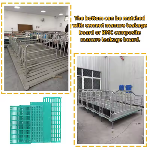 Gran oferta, bolígrafo de gestación de cerda galvanizado con alimentador para casa de cerdo, corrales de gestación de Cerda, cajas para cerdos - Product Image 5