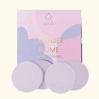 Tablettes de douche artisanales véganes bio de luxe à marque privée, aromathérapie aux huiles essentielles naturelles, eucalyptus menthe, coffret cadeau