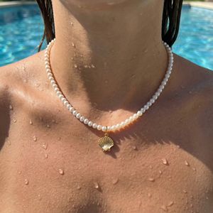 Collier en acier inoxydable avec perle d'eau douce, plaqué or PVD, hypoallergénique, pendentif coquillage, style plage - Product Image 2