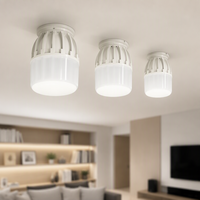 Ampoules LED T160 à très haute luminosité, puissance élevée 80W 100W 200W, 115 LM/W