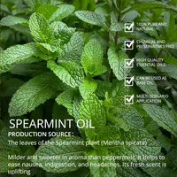 Huile essentielle de menthe verte 100% naturelle pour les soins bucco-dentaires et le contrôle du sébum ; Convient aux applications de soins de la peau et de soins bucco-dentaires.