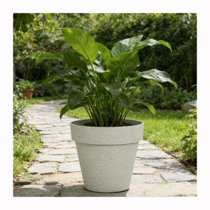 Jardinière Moderne en Plastique PP <span class=keywords><strong>de</strong></span> Haute Qualité, Écologique, pour l'Intérieur et l'Extérieur, pour Plantes et <span class=keywords><strong>Fleurs</strong></span>, Plusieurs Tailles Disponibles - Product Image 1