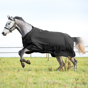 Stock Black Outdoor Paard Stal Tapijt Zwaargewicht Vulling Katoen Geïsoleerde Paardendeken Voor Ultieme Warmte En Comfort - Product Image 4