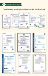 Poudre de Protéine d'Isolat de Whey 100% Gold Standard de Haute Qualité 1kg Vente en Gros d'Usine pour Adultes - Product Image 6