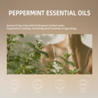 Huile de fleurs de menthe poivrée 100% pure et naturelle, sans additifs, hydratante, nourrissante, pour le corps, le visage, les cheveux, aromathérapie, vente en gros, 100 ml