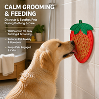 Bol d'alimentation lente en silicone pour animaux de compagnie, forme fraise, assiette antidérapante pour chiens et chats