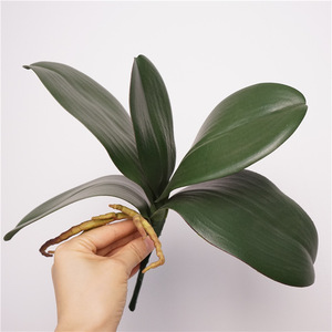 Feuilles d'<span class=keywords><strong>orchidée</strong></span> artificielles en latex de haute qualité, aspect réaliste, pour la décoration murale de Noël, de mariages et de la maison (vente en gros) - Product Image 1