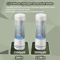 Bouteille d'eau hydrogénée tout-en-un, OEM ODM, logo personnalisé, générateur d'eau hydrogénée portable SPE PEM, pour bureau, voiture, maison