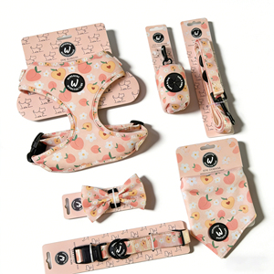 Accessoires de boutique pour chiens : Emballage en carton pour harnais et gilet pour chiot, assorti au collier et à la laisse, carte personnalisée de créateur - Product Image 1