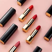 Rouge à lèvres mat minéral végétalien à haute pigmentation, longue tenue, hydratant, imperméable, logo personnalisé OEM/ODM