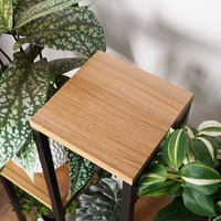 Support à plantes sur pied en fer et bois, style échelle, 6 niveaux, durable, thermolaqué, avec pieds réglables pour jardin et intérieur