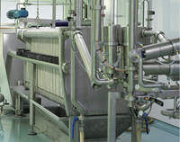 Automatische Aangepaste 500-20000 Kg/u Fruit En Groente Verwerkingslijn Sinaasappel/Mango/Ananassap Tomaat/Chilisaus Machine