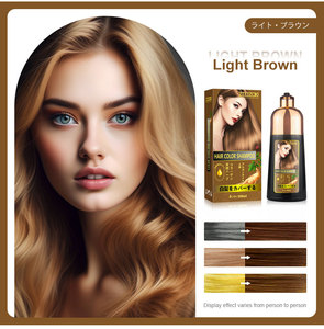 OEM personalizzare 500ml naturale a base di erbe di lunga durata senza cuoio capelluto nessuna macchia colorazione rapida Ginseng 3 in 1 colore dei capelli Shampoo - Product Image 4