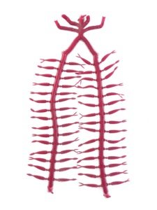 Mồi câu mềm nhiều màu dạng giun Capuchin, mồi mềm dạng giun đuôi đơn, mồi câu cá vược, mồi câu cá rô phi, khuôn nhôm làm mồi câu. - Product Image 5