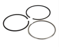 SQCS Auto Car Parts OE2992038 Segment de piston pour Iveco Daily Professional Supplier