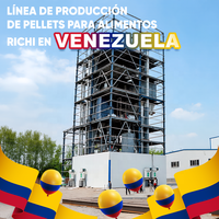 RICHI Venezuela Projet clé en main de moulin à aliments pour animaux - Ligne de production de granulés d'aliments pour volailles, bovins et porcins entièrement automatique 1-20 TPH