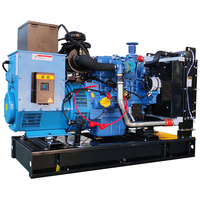 200kw 250kVA Yuchai Genset Diesel Tipe Terbuka untuk Penggunaan Industri dan Lokasi Konstruksi