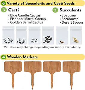 Juego de herramientas picantes directo de fábrica con Jalapeño <span class=keywords><strong>Serrano</strong></span> cilantro tomate para suministros de jardín - Product Image 6