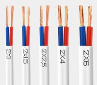 Fabrik VDE-Standard H03VVH2-F/H03VV-F Flaches Flexibles Mehradriges Stromkabel 2X0,75mm2 OEM Verfügbar