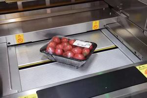 Los platos preparados LPMIE se envían a la máquina de envasado, se envuelven en film transparente y luego se envían a la máquina de envasado. - Product Image 2