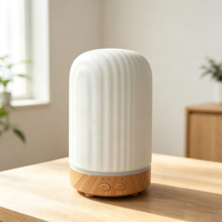 Diffuseur d'arômes en céramique USB 200 ml, décoration d'intérieur, humidificateur d'air