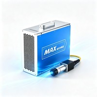 Source laser à fibre pulsée Q-Switched 50W MAX pour le marquage laser, la gravure et le nettoyage de précision