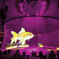 Pantalla de Malla Holográfica Invisible de Alta Transparencia para Espectáculos en Vivo, Conciertos y Teatro