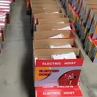 Mini palan électrique 300 Kg 500 Kg 1000 Kg Capacité de levage Palan à câble métallique avec chaîne en acier 220V pour ferme et hôtels