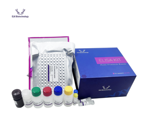Kit ELISA pour le Facteur de <span class=keywords><strong>Nécrose</strong></span> <span class=keywords><strong>Tumorale</strong></span> Alpha (TNFa) du Bétail, Application en Laboratoire, Performance Stable pour la Recherche en Immunoanalyse - Product Image 2