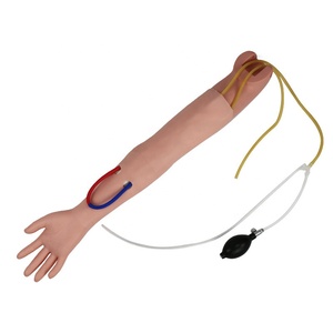 Modelo de Brazo para Entrenamiento de Punción e Inyección de Fístula Arteriovenosa, Simulación Anatómica de Hemodiálisis, Maniquí Médico para Entrenamiento - Product Image 3