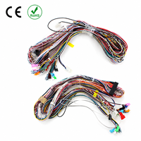 Ballast HID Xénon en cuivre étanche et gaine de câblage à 4 broches pour éclairage de moto/ordinateur et éclairage tout-terrain