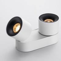 Plafonnier LED Noir en Aluminium Pliable à Montage en Surface, IP33, Dimmable, Sans Cadre, IRC95, Garantie 5 Ans, Réglable, Simple ou Double Tête