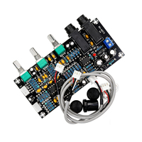 Module de préamplificateur et de mixage pour karaoké XH-M273 avec double microphone pour KTV et audio domestique