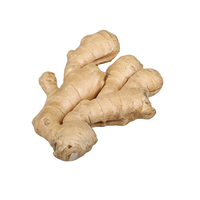 Fournisseur Jining Prix du marché du gingembre frais Graines de gingembre pour la plantation Gingembre frais de qualité supérieure à vendre