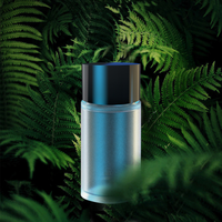 Diffuseur d'air essentiel sans fil de luxe pour voiture Mini Nano Mist Car Scent Fragrance Machine
