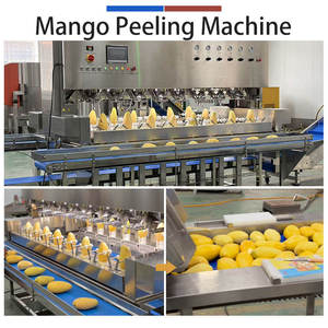 Línea de Procesamiento de Mango Automática Industrial de 2000-5000 kg/h con Máquina Multicabezal para Pelar, Deshuesar y Rebanar - Product Image 4