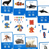 99 cartes de jeu éducatives pour enfants en chinois et en anglais, jeu de mémoire personnalisé