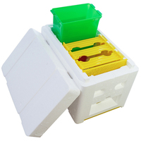 Matériel d'apiculture Vente en gros Haute qualité EPS Mini Queen Bee Boîte d'accouplement Ruches pour l'élevage des reines