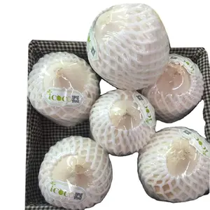 Wholesale High Quality EPE Foam, Foam Packing, Foam Sheet - China Fruit  Net, Packing Net