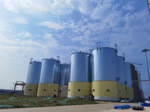 Silos en acier à fond plat, matériau galvanisé, 300T, 500T, 1000T, stockage de grain de sorgho avec ventilation - Product Image 1