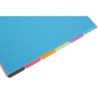 AFFISURE-separadores de archivos de plástico, variados, Color A4, Extra ancho, 6 piezas, con lengüetas Multicolor en blanco para carpeta de anillos