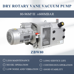 משאבת ואקום באיכות גבוהה ללא שמן תעשייתית באיכות גבוהה משאבת ואקום zybw80m3/h גז משאבת אוויר מוצץ להדפסה אריזה - Product Image 3