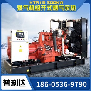 Grupo electrógeno de gas de 500KW 440V de bajo consumo para generación de energía a partir de biogás - Product Image 3