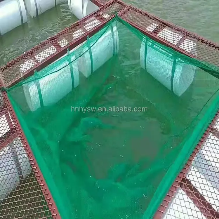 Aquaculture Fish Farming Floating Net Cages Fish Equipment Tilapia Hatching Machinery Blue Stainless Steal Fish Cages Resistant