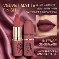 Gloss à lèvres vegan, rouge à lèvres mat imperméable avec fini velours pour lèvres sèches, aspect naturel, contenants de rouge à lèvres avec logo personnalisé