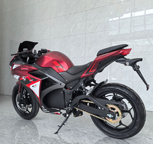 Moto électrique de loisirs 72V de haute qualité Loyal avec amortisseurs - Product Image 5