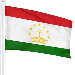 Huiyi उच्च गुणवत्ता सबसे अच्छी कीमत कस्टम ताजिकिस्तान झंडा गर्म बेचने कस्टम प्रिंट रेशम विशाल झंडा कस्टम